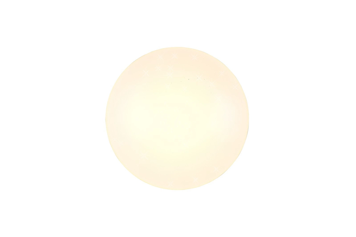 RL POLLUX 91