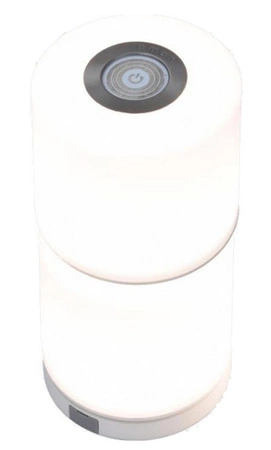 Lutec NOMA 49