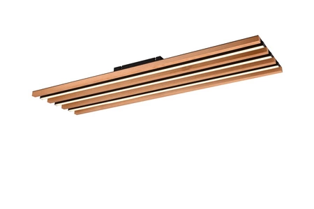 Trio FONTANA 51