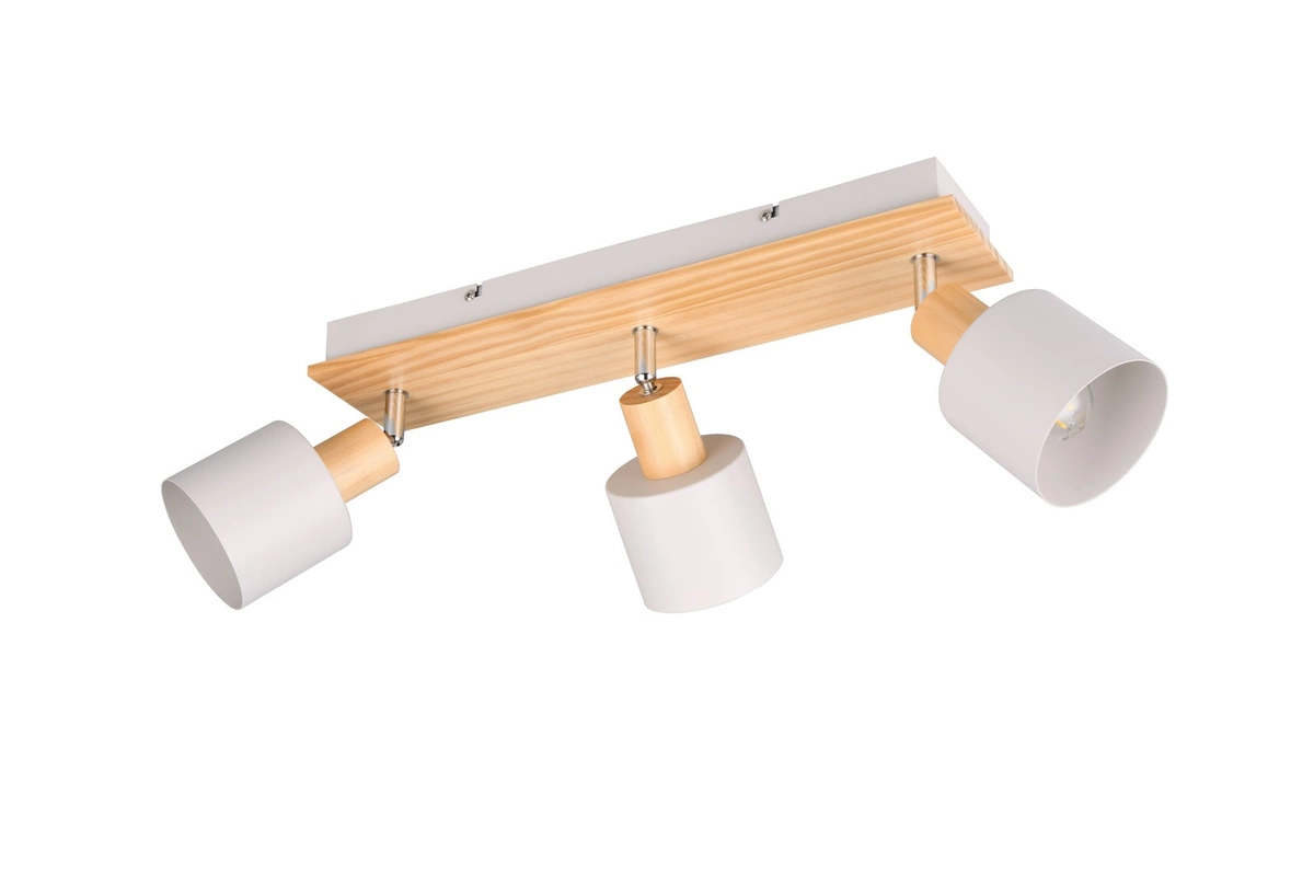Trio SHANTI 39