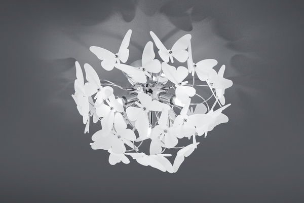 RL BUTTERFLY 23