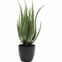 KARE roślina dekoracyjna ALOE 69 cm