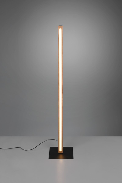 Trio BELLARI 50