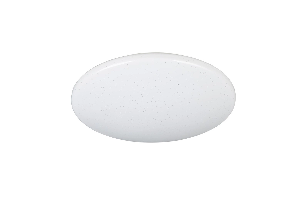 RL POLLUX 91