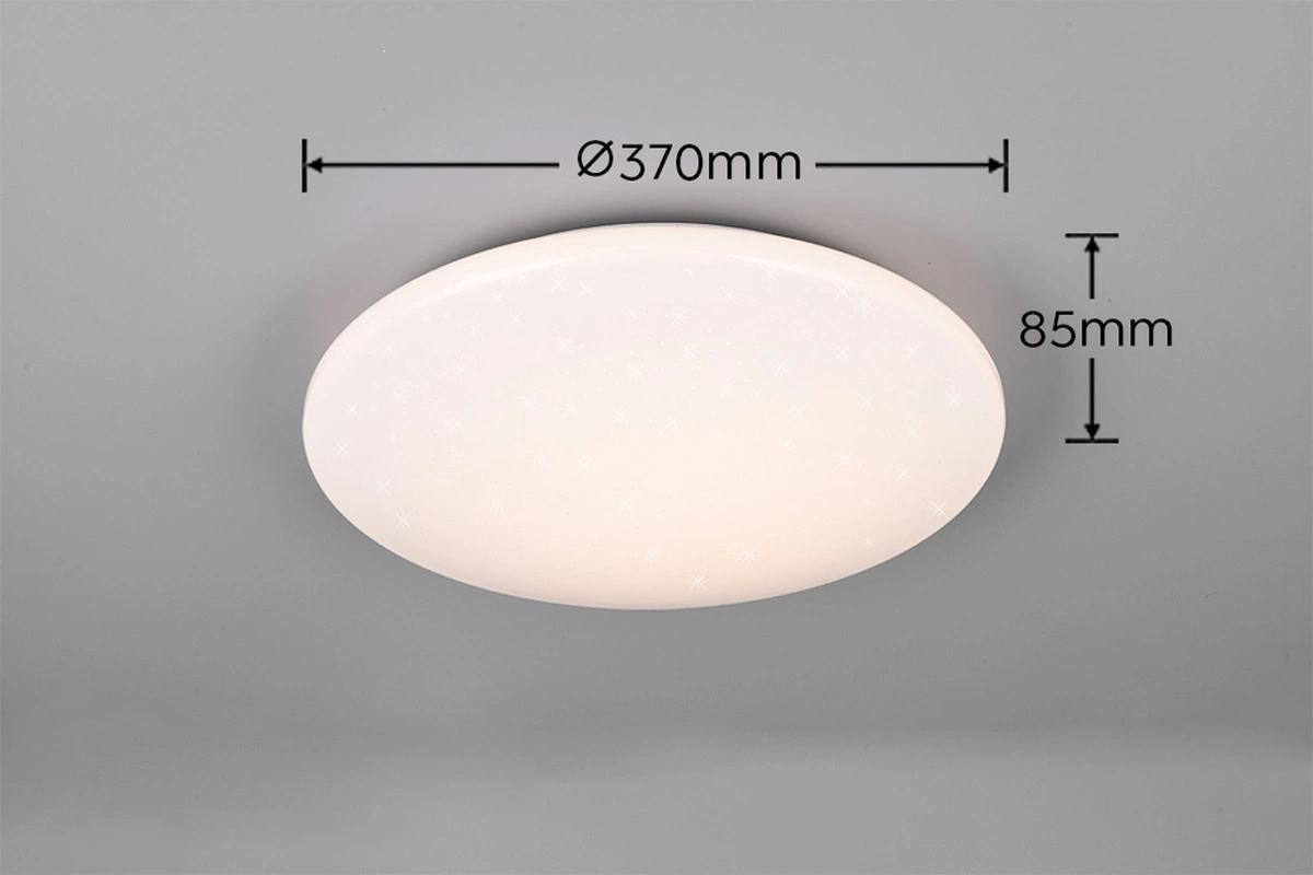 RL POLLUX 91
