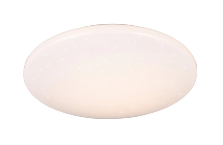 RL POLLUX 91
