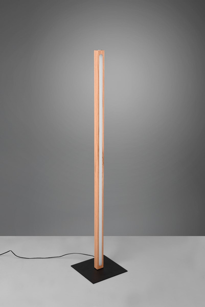 BELLARI