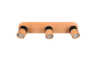 Trio ARUNI 31