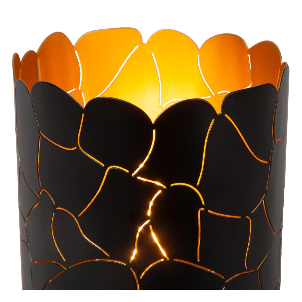 Lucide ALMELO 03