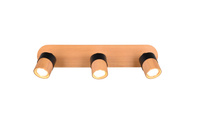 Trio ARUNI 31
